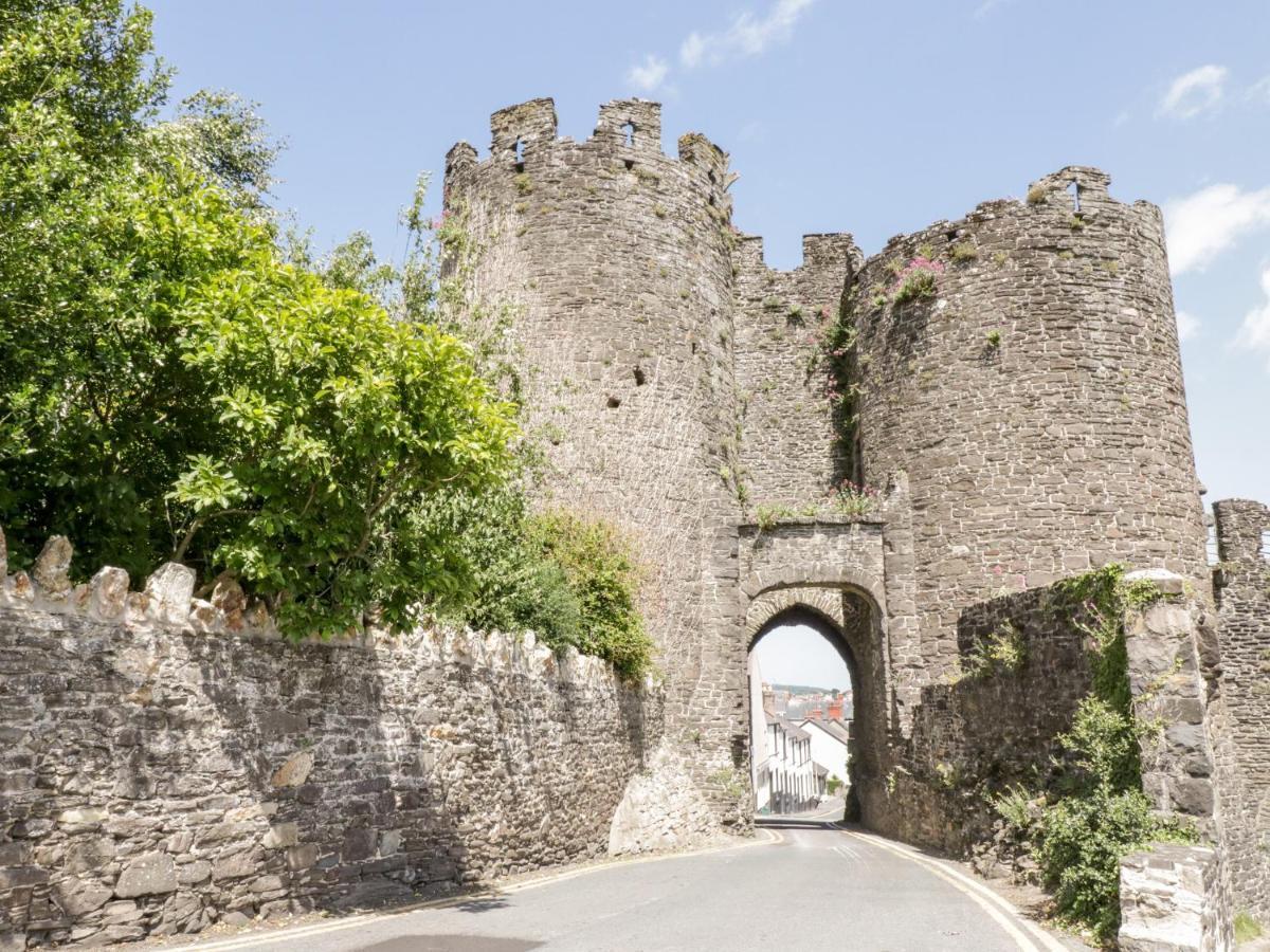 Oakwood Stables Villa Conwy Dış mekan fotoğraf