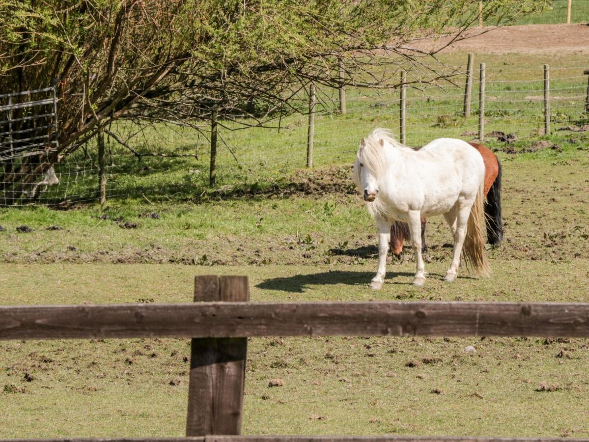 Oakwood Stables Villa Conwy Dış mekan fotoğraf